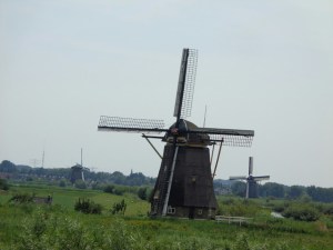 Near Rotterdam